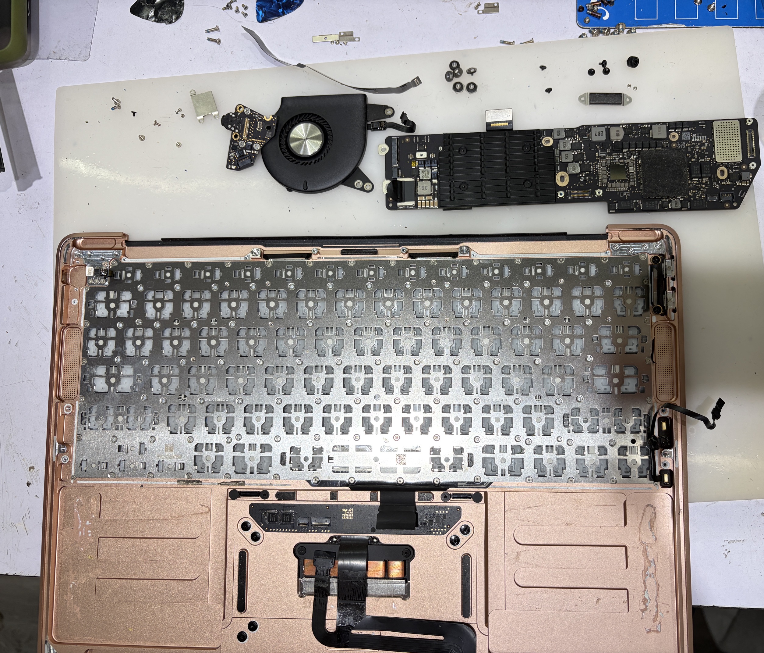 MacBook Air A2179 鍵盤層，展示金屬面板及無數微小螺絲